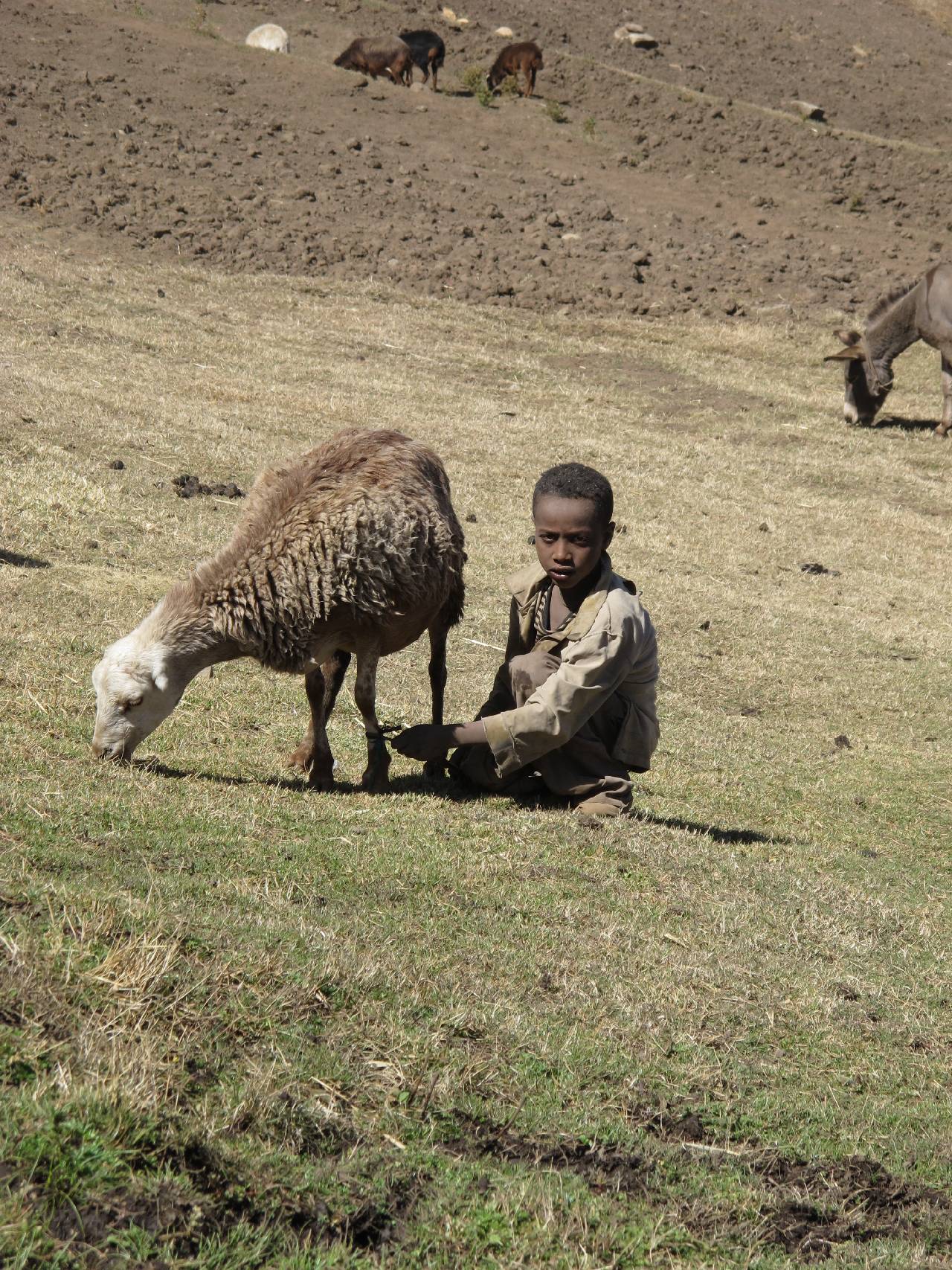 etiopie012